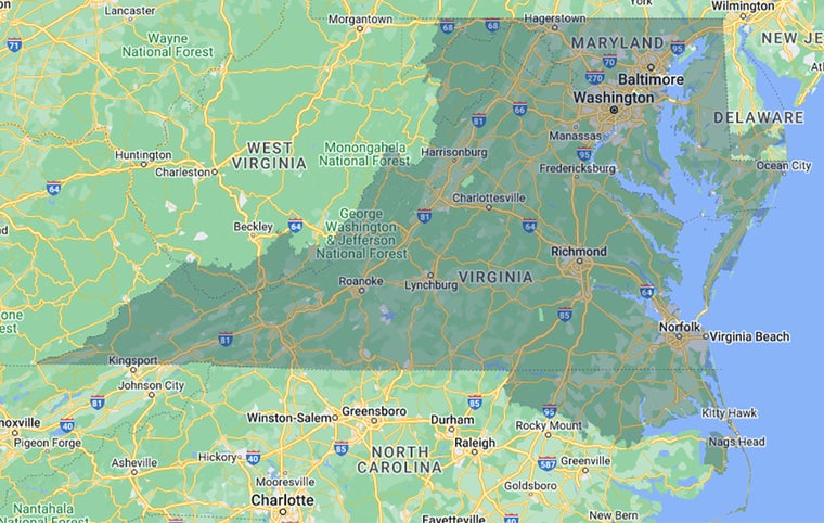 Forest Map Image