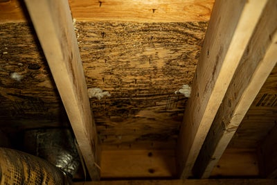 Mold forming at the top of a crawl space.