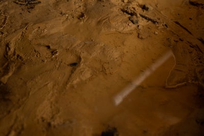 Close up of heavy thick mud from excessive rain.