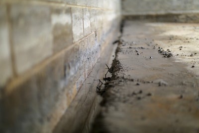 basement cove joint water seepage