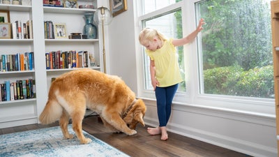 A happy child with her dog at home