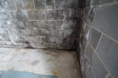 The corner of a basement that is showing efflorescence, damp floors, mold growth, and water stains