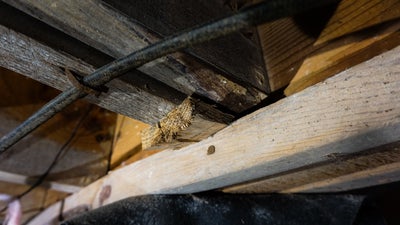Floor joist in a crawl space dipping under heavy weight.