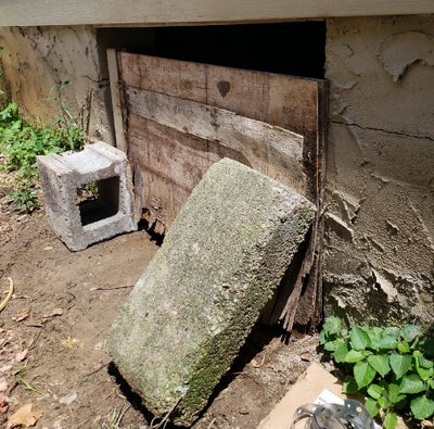 Old, damaged, wooden crawl space door.
