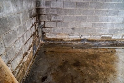 Dank and water-stained corner of a basement.