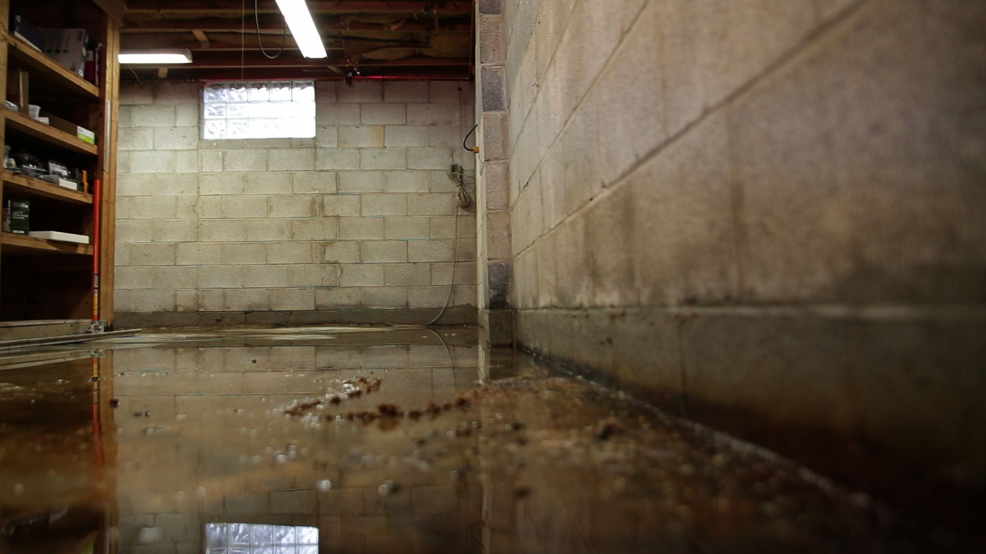 7 Steps to Clean Up Water in Your Basement After Flooding