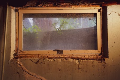 view of a clogged basement window well from inside the basement