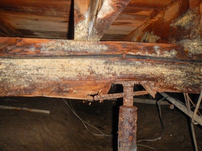 Rotting wooden beam inside a crawl space.