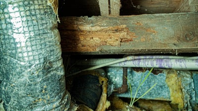 Rotting wood in a dark, damp crawl space.