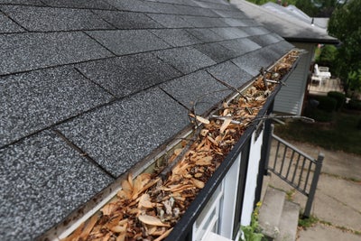 Roof gutters clogged with dead leaves.