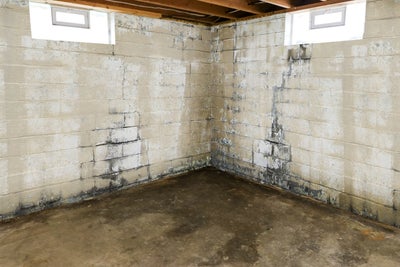damp basement with wet walls and floor