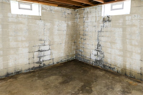 water in basement cove leaking through basement walls