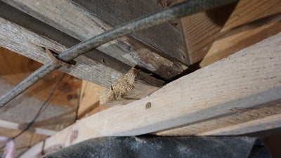 bouncy floors caused by bad crawl space joists