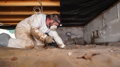 professional cleaning crawl space