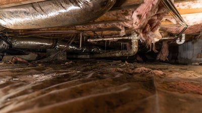 crawl space water intrusion and failing insulation