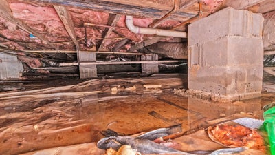 flooded crawl space with wet insulation