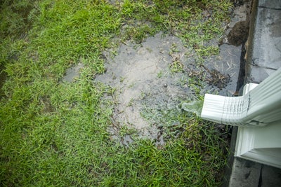 Puddle forming below a downspout.