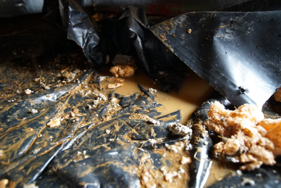 Standing water in a crawl space of a home