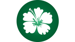 Hawaiian Flavor Icon