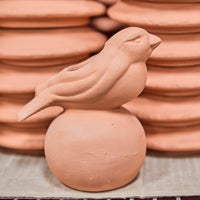 Collectors Series: Vase Edition - Bird Vase