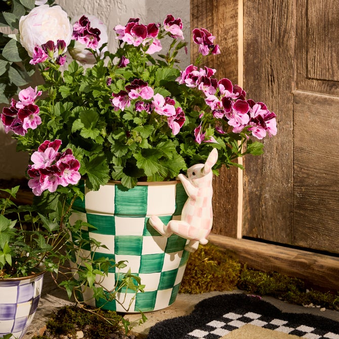 Rosy Check Funny Bunny Pot Climber image number 4