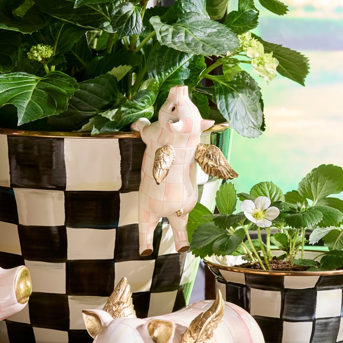 Rosy Check Flying Pig Pot Climber image number 4