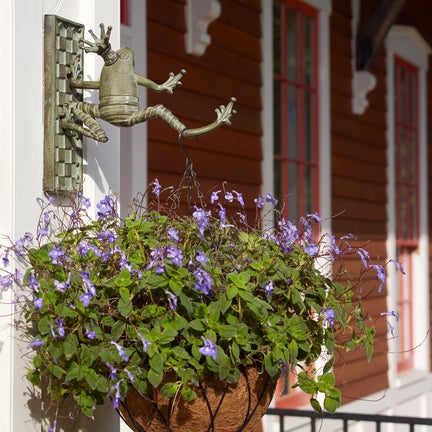 Frog Plant Hanger
