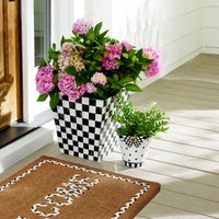 Courtly Check Butterfly Planter