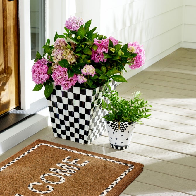 Courtly Check Butterfly Planter image number 1