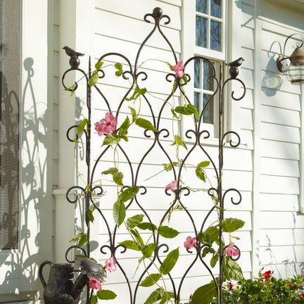 Bird on Ball Trellis