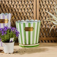 Grass Green Stripe Pots & Saucers, Set of 3