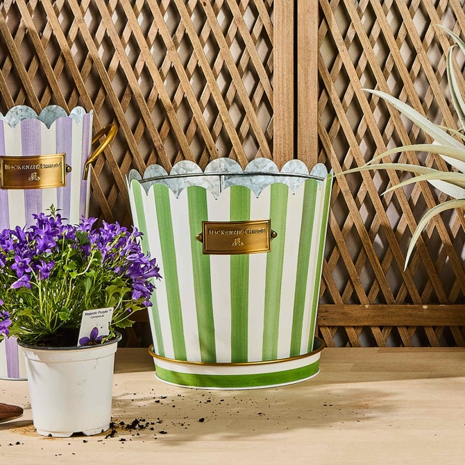 Grass Green Stripe Pots & Saucers, Set of 3 image number 1
