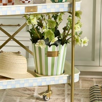 Grass Green Stripe Pots & Saucers, Set of 3