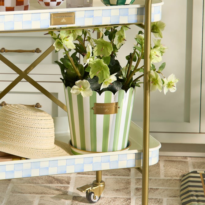 Grass Green Stripe Pots & Saucers, Set of 3 image number 6