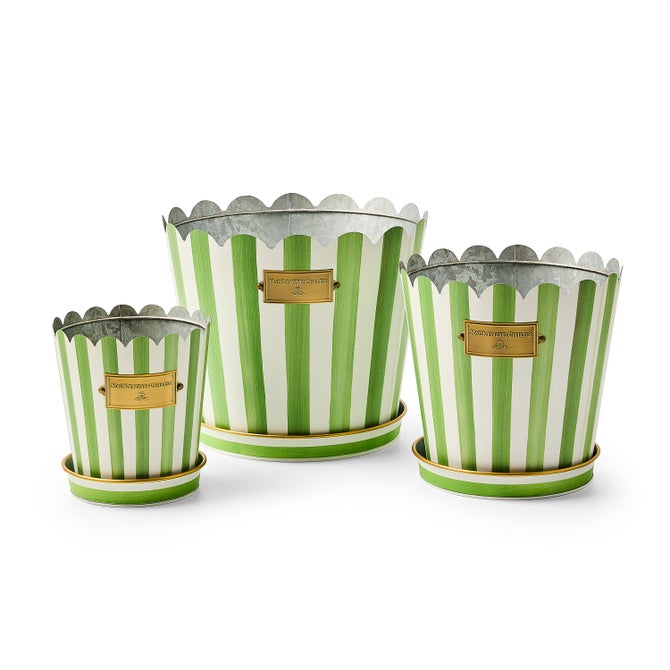 Grass Green Stripe Pots & Saucers, Set of 3 image number 0