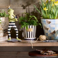 Courtly Stripe Pots & Saucers, Set of 3