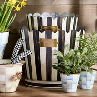 Courtly Stripe Pots & Saucers, Set of 3