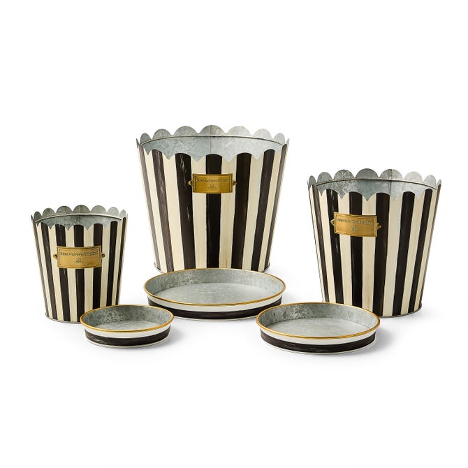 Courtly Stripe Pots & Saucers, Set of 3 image number 2