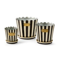 Courtly Stripe Pots & Saucers, Set of 3