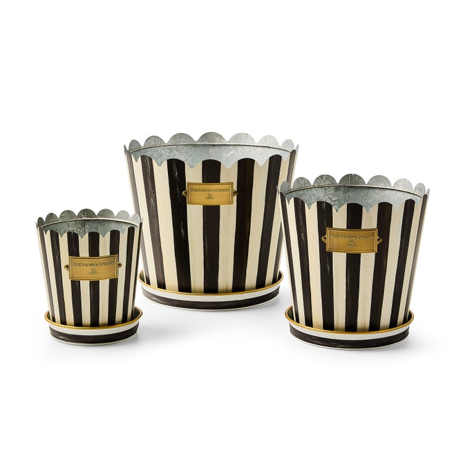 Courtly Stripe Pots & Saucers, Set of 3 image number 0