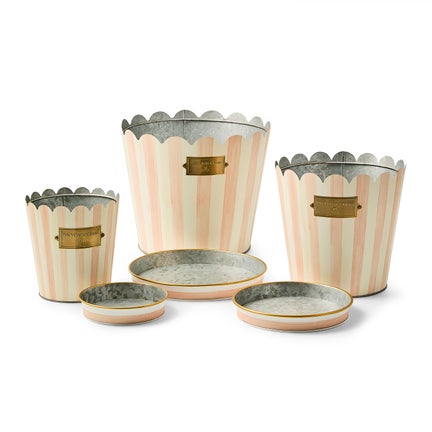 Rosy Stripe Pots & Saucers, Set of 3