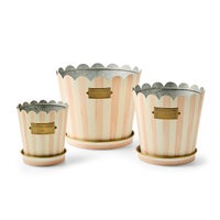 Rosy Stripe Pots & Saucers, Set of 3