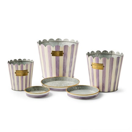 Violet Stripe Pots & Saucers, Set of 3