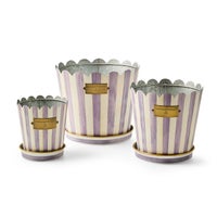 Violet Stripe Pots & Saucers, Set of 3