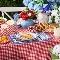 Blue Woven Check Straw Placemats, Set of 4