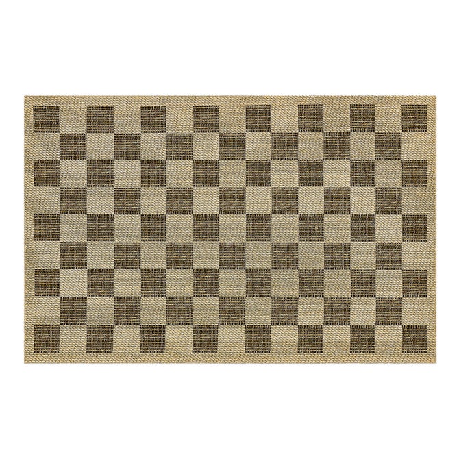 Checked Indoor/Outdoor Rug image number 1