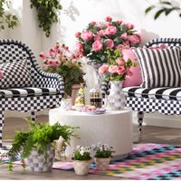 Calypso Checked 8' x 10' Indoor/Outdoor Rug