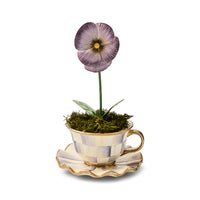 Violet Teacup Pansy