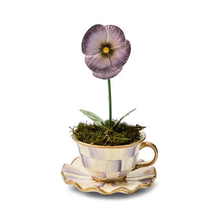 Violet Teacup Pansy