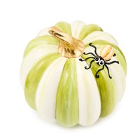 Fergal's Friend Spider on Mini Moss Stripe Pumpkin